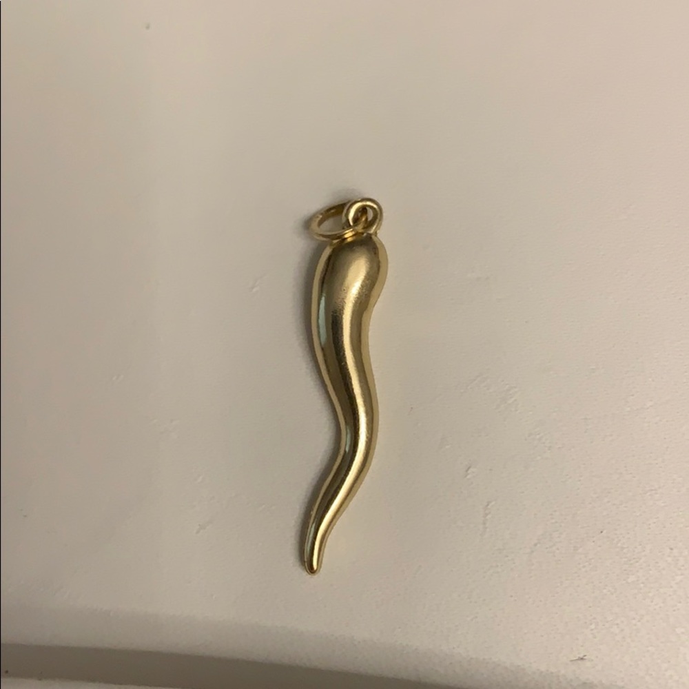 Italian horn